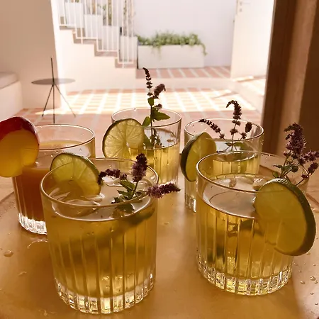 호텔 Ethos Vegan Fira, Santorini 산토리니