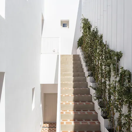 Hotel Ethos Vegan Fira, Santorini *