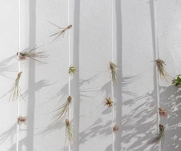 Hotel Ethos Fira, Santorini