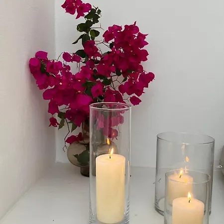 酒店 Ethos Vegan Fira, Santorini 费拉